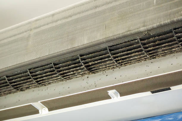 Best Duct Cleaning for Homes  in Albemarle, NC